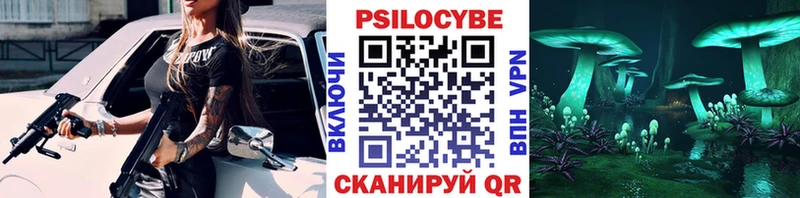 Псилоцибиновые грибы Psilocybine cubensis хочу наркоту Приволжск